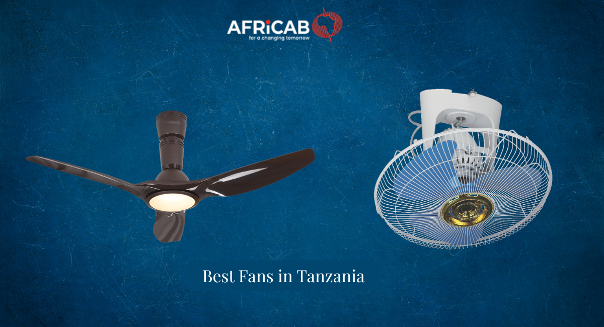 Best Fans in Tanzania | Quality Fans by AFRICAB