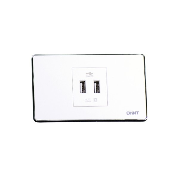 CHINT Switches  New-5F USB Socket